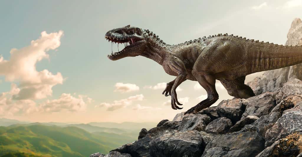 Selon les résultats des chercheurs de l’université de Zurich (Suisse), le mégalodon aurait pu être capable de dévorer un T-Rex en seulement… trois bouchées ! © chaiyapruel, Adobe Stock