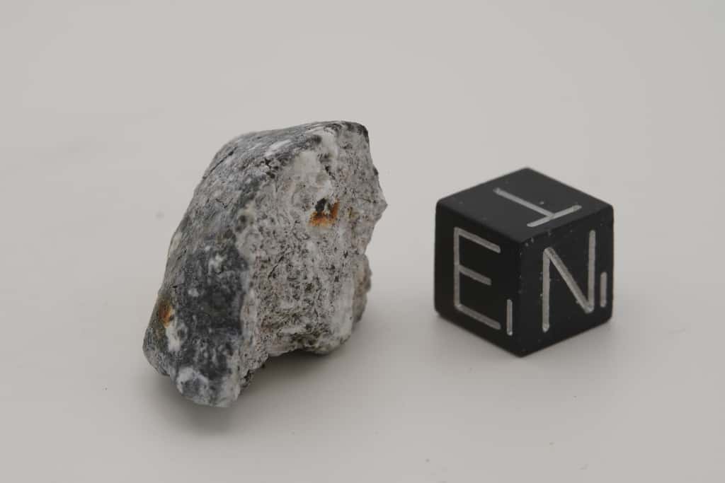 L’une des météorites issues de l’astéroïde 2024 BX1 qui a illuminé le ciel allemand ce 21 janvier 2024. © Laura Kranich, Museum für Naturkunde Berlin