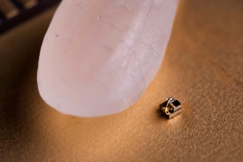 Le Micro Mote est si petit qu’il peut loger dans la pointe d’un grain de riz. © University of Michigan 