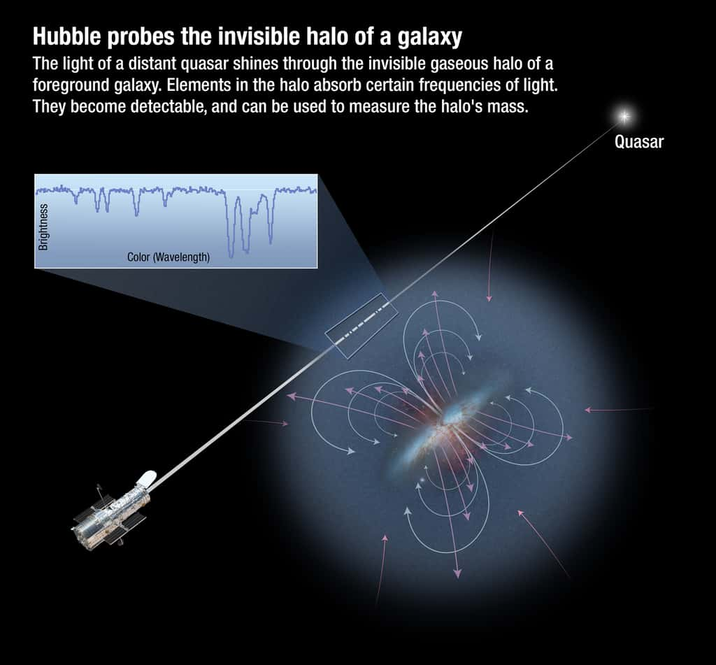 Les quasars lointains sont comme des phares qui brillent à travers le « brouillard » riche en gaz du plasma chaud qui entoure les galaxies. Aux longueurs d’onde ultraviolettes, le spectrographe du télescope spatial Hubble est sensible à l’absorption de nombreux éléments lourds ionisés, tels que l’azote, l’oxygène ou le carbone. © A. Field, Nasa, ESA