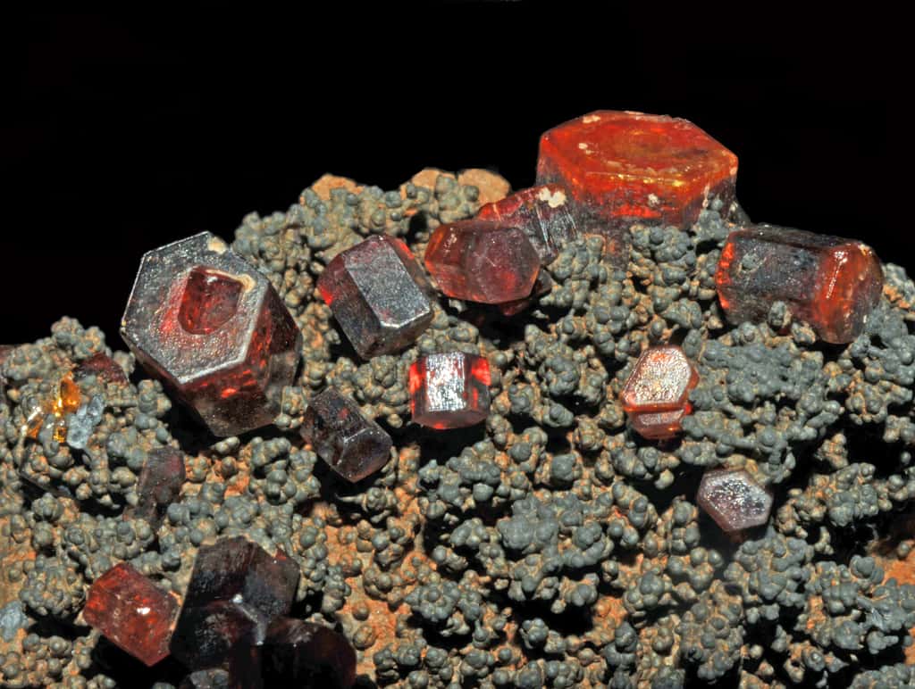 La goethite est un minerai de fer. Ici, des cristaux de vanadinite (rouge) sur goethite. © Parent Géry, Wikipédia, CC by-sa 3.0
