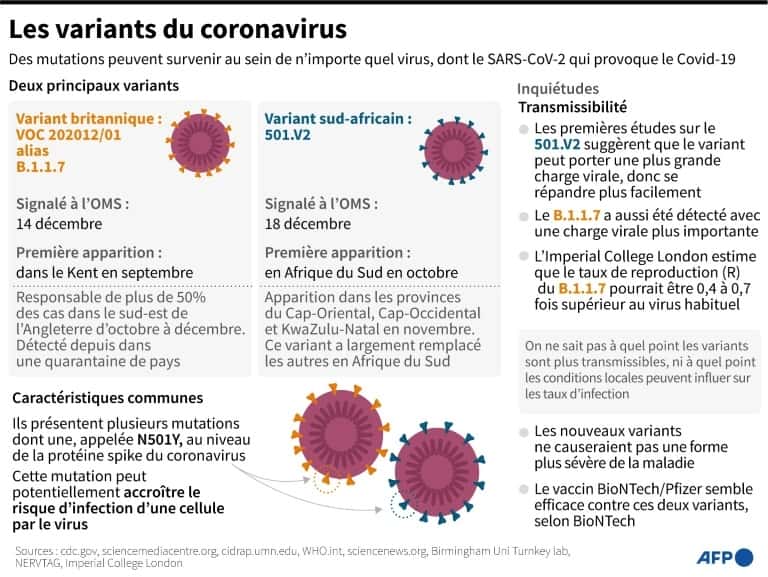 Variants du coronavirus. © John Saeki, AFP