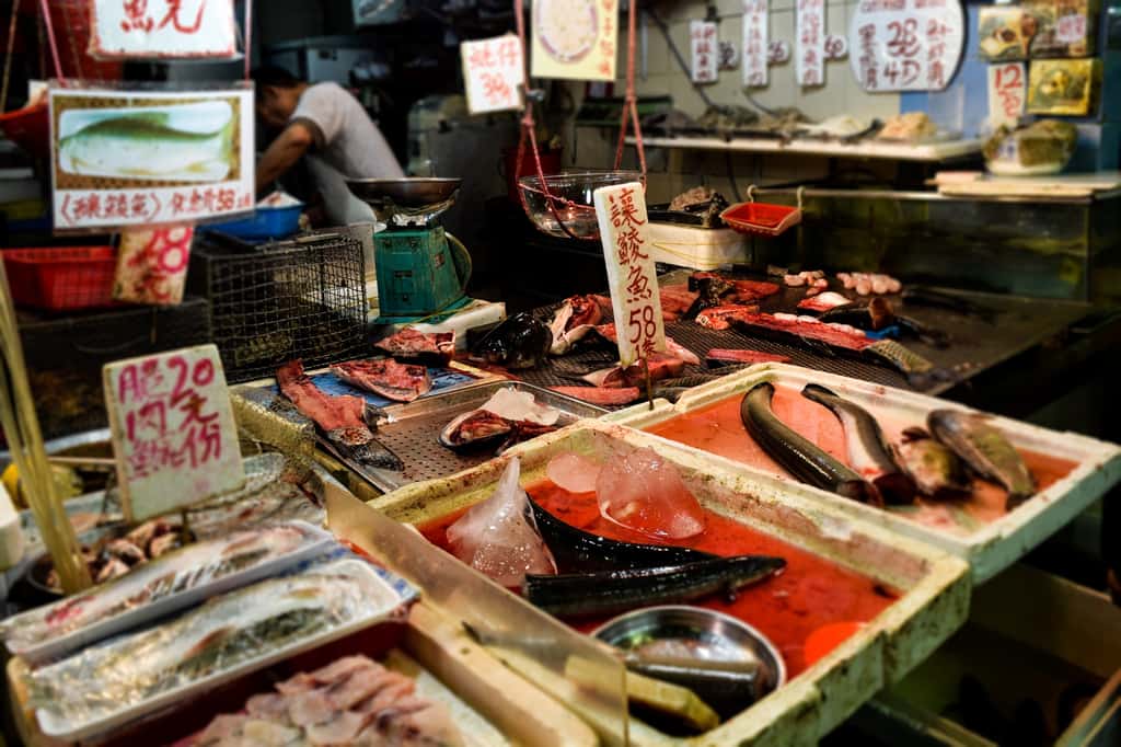 C'est sur des personnes travaillant dans un marché de gros de fruits de mer et de poissons, à Wuhan, qu'a été repéré le virus, en décembre dernier. Ici, le marché du poisson-chat de Hong Kong. © NDK100, Adobe Stock