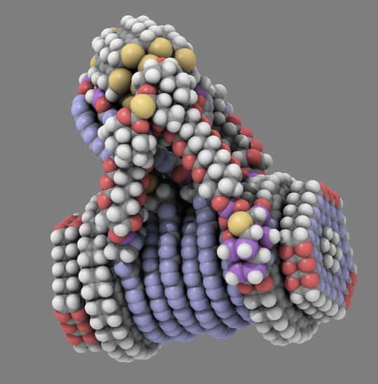 Vue d'une nanomachine réalisée à l'aide du logiciel libre QuteMol03. © QuteMol03 Snapshot, Wikipedia