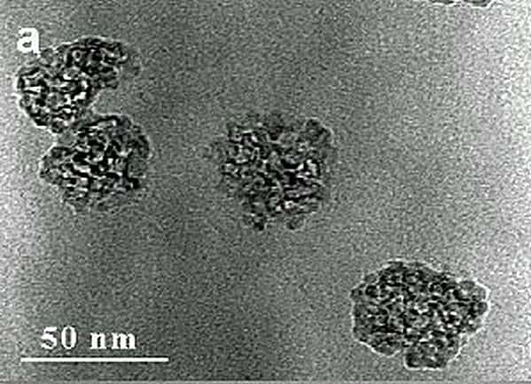 Nanoparticules de TiO2 vues au microscope électronique. Crédit : Ecole Polytechnique