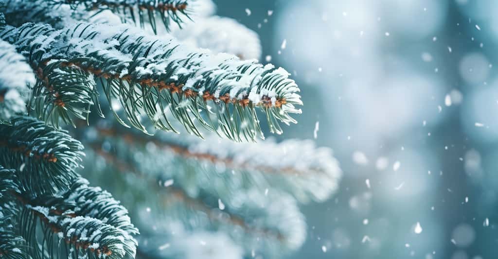 Des chercheurs de l’université de Grenoble ont déterminé à quelle limite d’altitude des changements dans les chutes de neige extrêmes seront observés sous l’effet du réchauffement climatique dans les Alpes françaises. © Yann, Adobe Stock