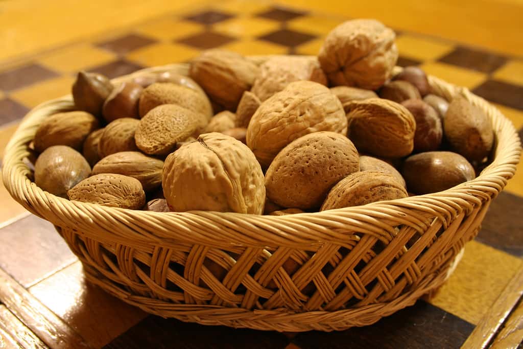 Les fruits à coque, et particulièrement les noix, réduisent le risque d'apparition de certaines maladies parmi les plus mortelles, comme les maladies cardiovasculaires et le cancer. © IainBuchanan, Flickr, cc by 2.0