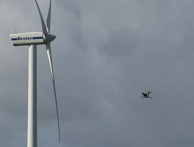 Selon une étude de la LPO réalisée en 2007, chaque éolienne française tuerait entre 0 et 40 oiseaux ou chauves-souris par an. © Southgeist, Flickr, CC by-sa 2.0