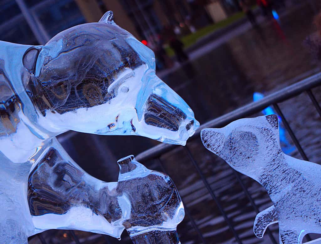 Les Bradford Ice Sculptures, à Noël