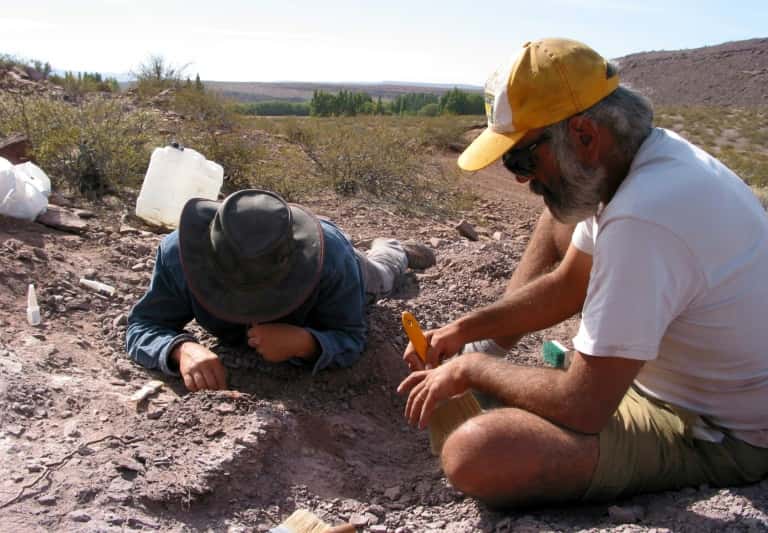 Des chercheurs ont découvert une nouvelle espèce de dinosaure dans la province de Neuquen en Argentine. Photo mise à disposition par l'agence CTyS, le 2 novembre. © HO, Agencia CTyS, AFP
