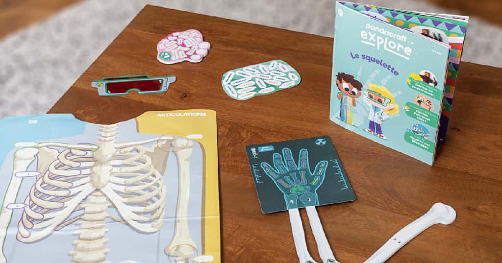 À la rentrée 2020, les enfants pourront faire l’expérience du corps humain grâce aux kits Pandacraft. © Pandacraft