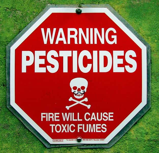 Les pesticides sont des produits toxiques pour des organismes biologiques comme des insectes ou des mauvaises herbes. Mais parfois, ils sont aussi nocifs pour l'Homme. Accusés d'engendrer diverses maladies, ils pourraient donc favoriser le développement du diabète, une pathologie de plus en plus courante. D'après les estimations, 4,4 % de la population mondiale sera concernée en 2030. © Colin Grey, Wikipédia, cc by sa 3.0