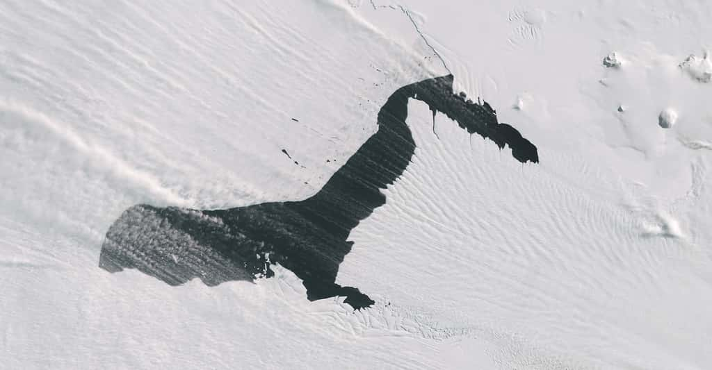 Une image saisie par satellite montre de la « fumée marine » et des panaches de neige sur le Pine Island Glacier, le glacier de l’île du Pin. © Wanmei Liang, Nasa Earth Observatory, Landsat data, U.S. Geological Survey