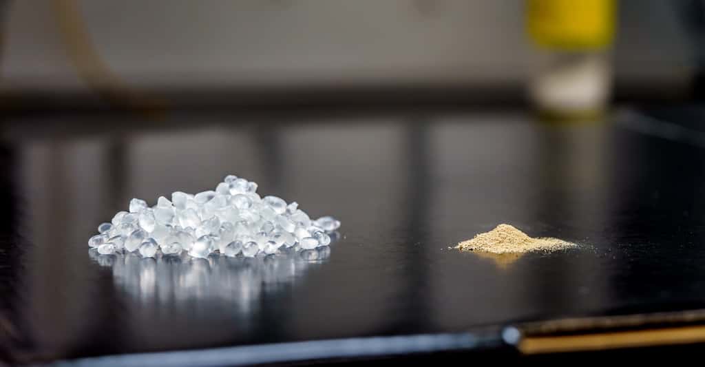 Des chercheurs de l’université de Californie à San Diego (États-Unis) ont développé un <em>« plastique vivant »</em> biodégradable à partir de granulés de polyuréthane thermoplastique (à gauche) et de spores de <em>Bacillus subtilis</em> (à droite). © David Baillot, <em>UC San Diego Jacobs School of Engineering</em>