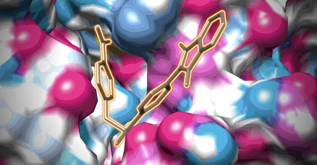 En lumière, une petite molécule médicamenteuse dans la poche d’un picornavirus. Le tout vu par cryomicroscopi électronique. © James Geraets, Université d’Helsinki