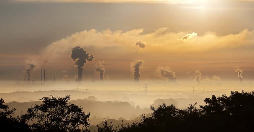 Les experts estiment que la pollution de l’air tue environ 4,2 millions de personnes par an. Des chercheurs se sont aujourd’hui intéressés à ses effets sur nos cheveux. © Foto-Rabe, Pixabay License