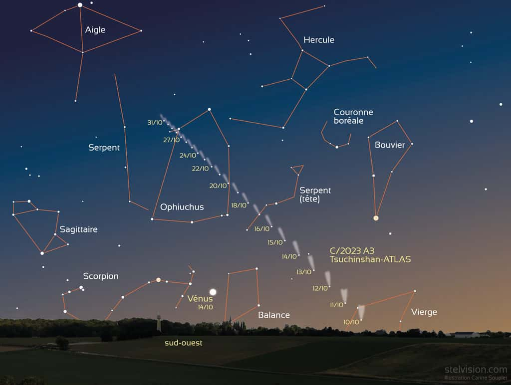Sur cette carte, les positions de la comète Tsuchinshan-Atlas entre le 10 et le 31 octobre 2024. © stelvision.com