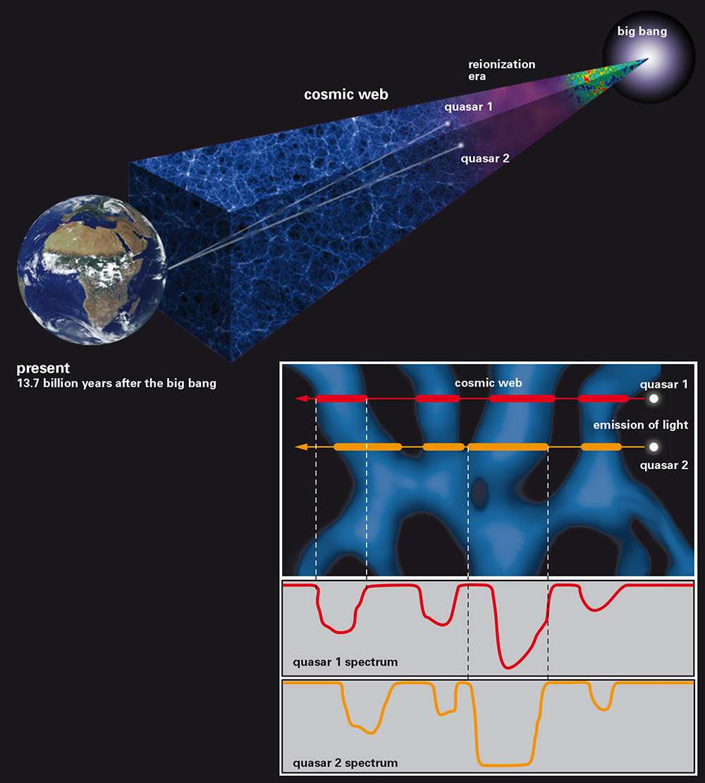 Des quasars avec des décalages spectraux et des positions sur la voûte céleste légèrement différentes voient leurs rayonnements absorbés par la distribution d'hydrogène intergalactique entre nous et eux. Les creux observés dans leurs spectres révèlent la présence de filaments dont les tailles sont de l'ordre de grandeur des grandes galaxies. © J. Oñorbe, MPIA