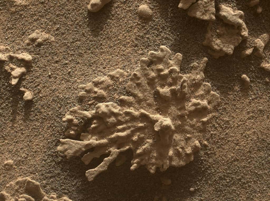 Une image prise par la caméra Mars Hand Lens Imager de Curiosity le 24 juillet 2025. On y découvre une roche d’environ 5 centimètres en forme de corail que les scientifiques ont surnommée <em>« Paposo »</em>. © Jet Propulsion Laboratory, Nasa