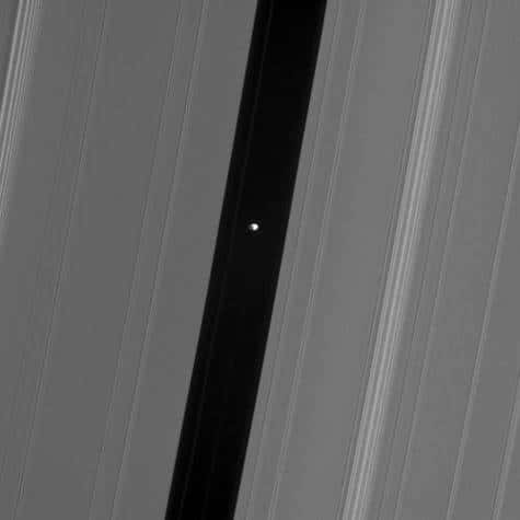 La petite lune Pan dans la division d'Encke. © Nasa-JPL