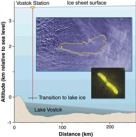 Situation en coupe du lac Vostok et vue aérienne. L'image infrarouge met en évidence les deux parties profondes du lac. Crédit : Institut de recherche russe arctique et antarctique.