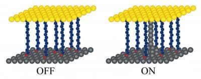  Formation d'une connexion avec des ions d'argent pour un commutateur à l'échelle nanométrique (Crédit : NIST).