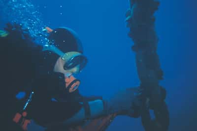 Un plongeur récolte des moules dans le bassin d'Arcachon. Elles serviront d'indicateurs de pollution. Dans les décennies à venir, leurs coquilles montreront sans doute les signes d'une acidité accrue de l'eau de mer.<br />Crédit  : CNRS Photothèque  /  Garrigues Philippe
