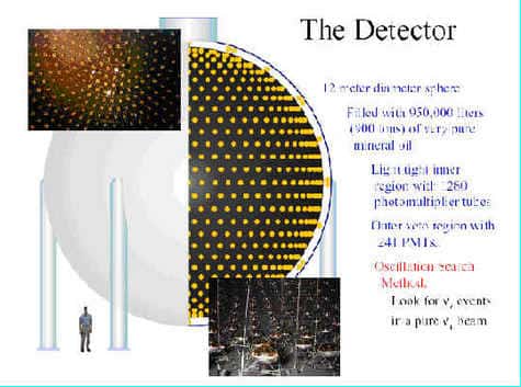 Le détecteur de neutrinos rempli d'huile minérale très pure. Notez les capteurs à effet Cerenkov recouvrant sa surface interne. © Janet M. Conrad 