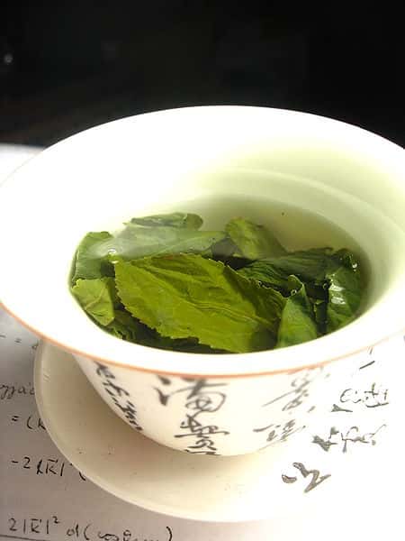 Les polyphénols sont présents en grande quantité dans le thé vert. © Wikimol - Licence Creative Commons
