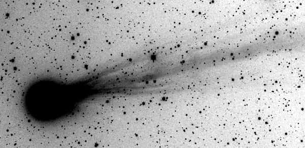 En augmentant fortement le contraste d'une image réalisée le 6 juin par l'astronome M. Mobberly, on observe de nombreux jets de gaz qui s'échappent de la chevelure de la comète C/2009 R1. Crédit M. Mobberly, traitement J.-B. Feldmann 