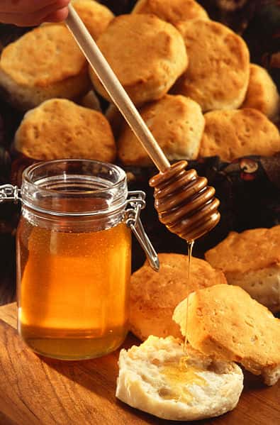 Une bonne tartine de miel au petit-déjeuner serait excellente pour la santé, non seulement pour les qualités nutritives du miel, mais aussi pour la défensine qu&#039;il contient. Crédits DR
