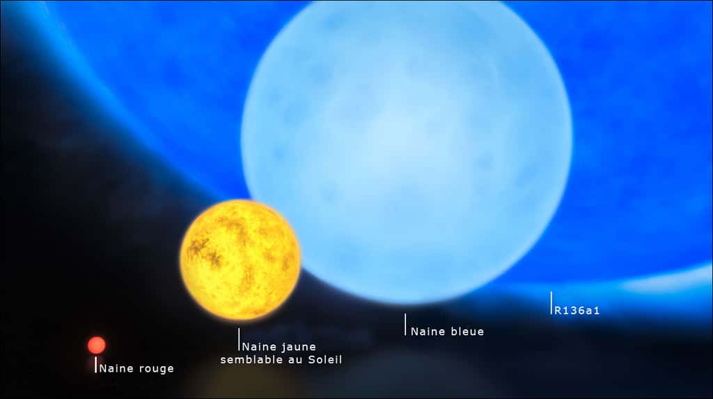 Une comparaison de la taille des étoiles. Le Soleil, qui fait partie des naines jaunes, fait pâle figure comparé à R136a1. Crédit : ESO M Kornmesser.
