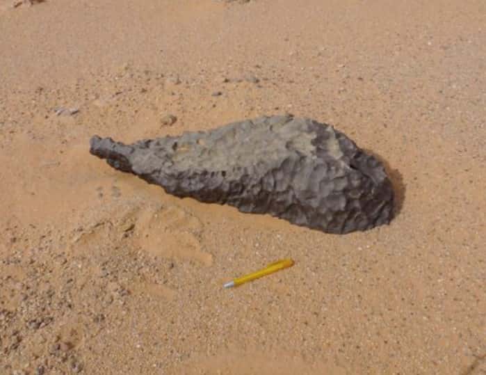 Cette météorite de 83 kilogrammes a été retrouvée à 230 mètres du cratère. Crédit L. Folco