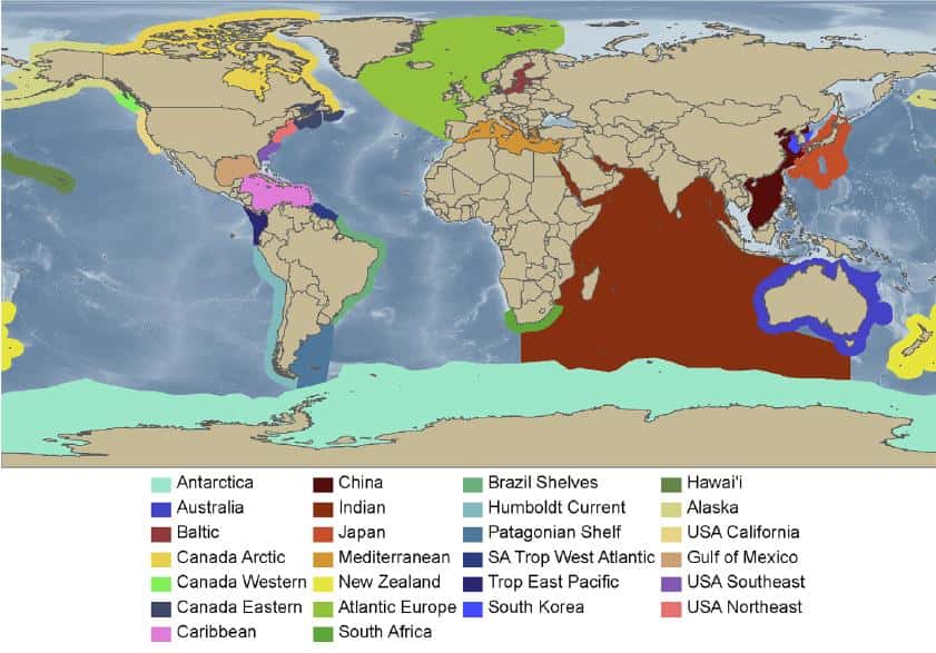 Les 25 régions du monde explorées au cours des dix dernières années par les scientifiques du projet <em>Census of Marine Life</em>. © <em>Plos One</em>