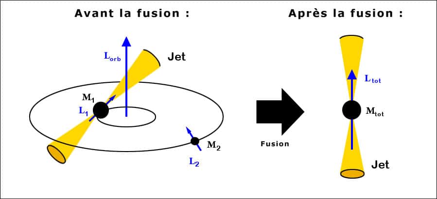 Un trou noir de Kerr supermassif de masse M<sub>1</sub> accumule (accrète) de la matière tout en possédant un moment cinétique propre (spin) L<sub>1</sub> et un moment orbital L<sub>orb</sub>. Des jets de matière sont émis lorsqu'il absorbe du gaz, par exemple celui d'une galaxie plus petite. Le petit trou noir supermassif M<sub>2</sub>, de moment cinétique L<sub>2</sub>, de la petite galaxie s'approche et forme un trou noir binaire qui va fusionner avec le premier. De l'énergie est en effet émise sous forme d'ondes gravitationnelles comme dans le cas d'un pulsar binaire, diminuant sans cesse la distance entre eux. La fusion finale forme un trou noir mais la somme des moments cinétiques restants (les ondes gravitationnelles emportent aussi du moment cinétique), associée à celui du trou noir final, change l'axe de rotation et donc la direction d'émission des jets de matière. Crédit : Christian Zier