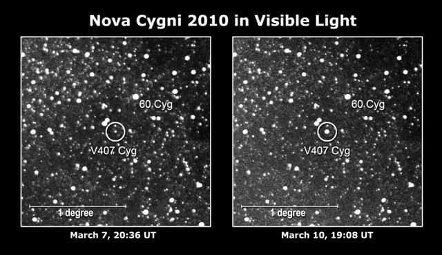 Des astronomes amateurs japonais ont pris une image de Nova Cygni 2010. La nova (dans le cercle à droite) était 10 fois plus brillante que l’étoile avant sa phase éruptive et atteignait une magnitude 6,9, juste en dessous du seuil de visibilité à l'œil nu. Crédits : Nasa-K. Nishiyama et F. Kabashima/H. Maehara, Université de Kyoto