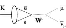 Un kaon négatif, K<sup>-</sup>, peut se désintégrer en un muon et un antineutrino. On sait maintenant que ce processus est possible parce que la conversion d'un des quarks le composant en un autre s'accompagne de l'émission d'un boson W<sup>-</sup>. Ici, un antiquark <em>up </em>s'annihile avec un quark étrange, <em>s</em>, en donnant ce boson. Instable, lui-même se désintègre en muon négatif et antineutrino. Crédit : Stephen D. Ellis