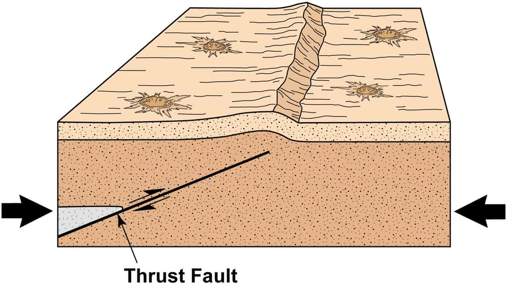 Une faille inverse (<em>thrust fault) </em>se produit lorsque des contraintes latérales compriment une portion de croûte. La surface se soulève et il se produit alors un escarpement de faille. Sur la Lune, ces escarpements prennent une forme lobée caractéristique d'où leur nom<em>. </em>Crédit : <em>Arizona State University</em>