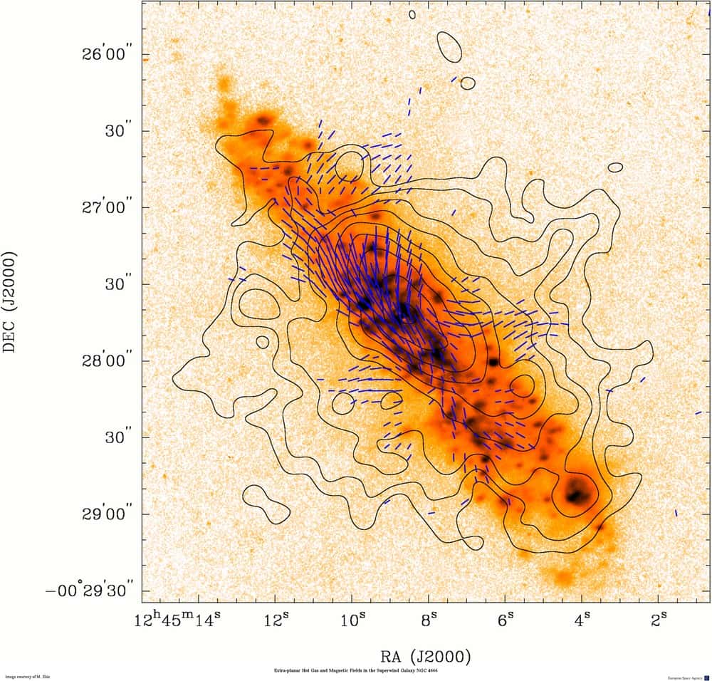 Sur cette image, les tirets bleus indiquent la dispersion des vents de gaz chauds issus du cœur agité de la galaxie NGC 4666, tels que les observe <em>XMM-Newton</em>. Les courbes autour de la galaxie correspondent à différents niveaux d'intensité du champ magnétique mesuré avec le radiotélescope VLA (<em>Very Large Array</em>). Crédit Esa/M. Ehle