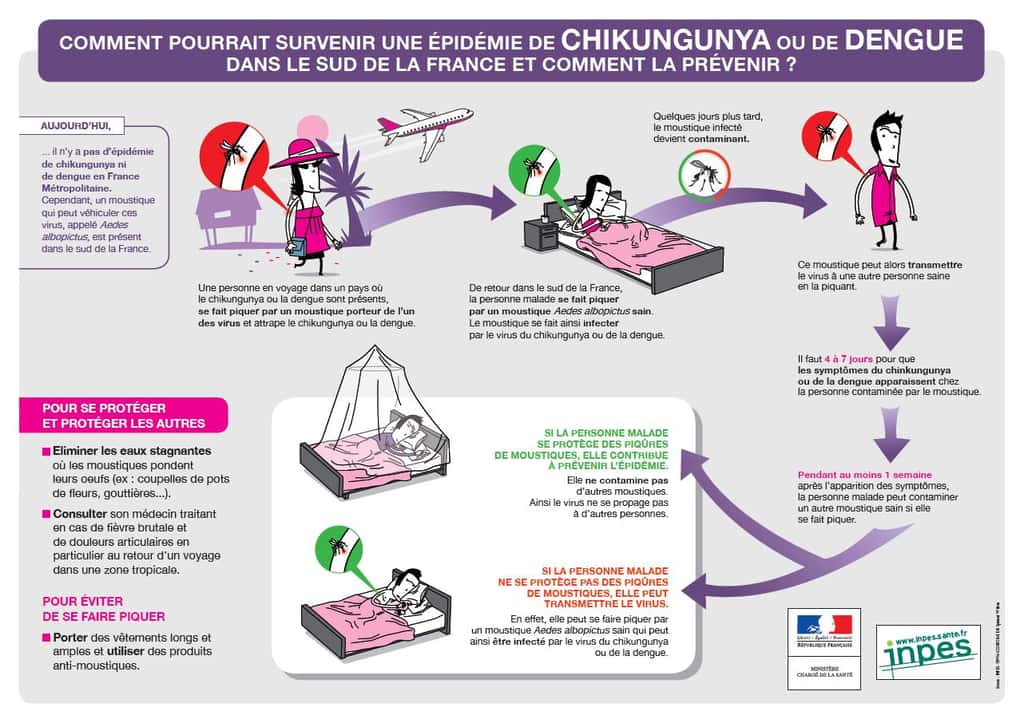 Les mesures à prendre pour éviter une épidémie en France. © Ministère de la santé et l'INPES