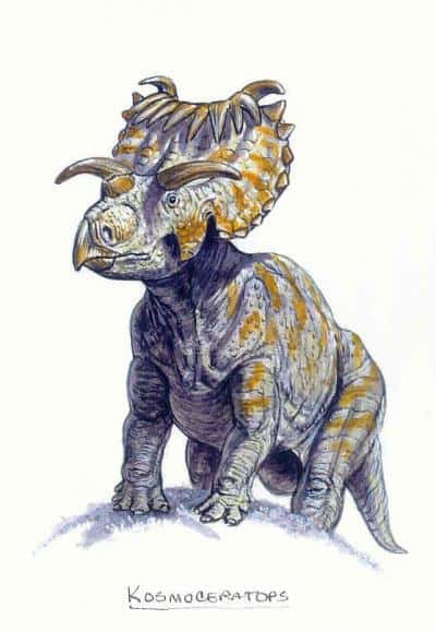 <em>Kosmoceratops richardsoni</em> possède, en plus de son cousin, une corne de chaque côté de la mâchoire et 10 cornes sur le haut de la collerette. © Mark Hallett