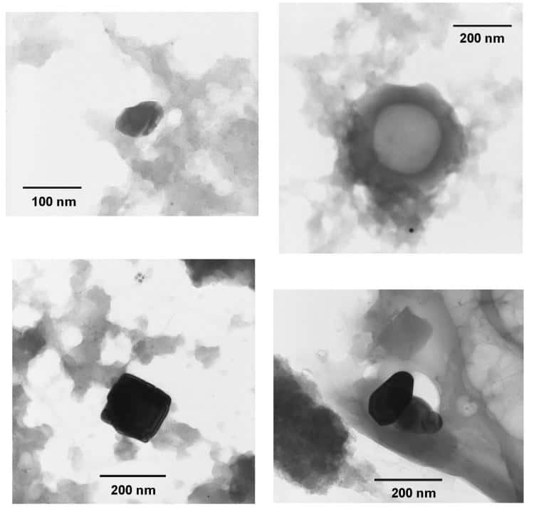 Images en microscopie électronique en transmission (réalisées à l'UMET, Université de Lille1) de minéraux condensés à partir de vapeurs et découverts dans les météorites Orgueil et Murchison. C'est parmi ces grains, mille fois plus petits qu'un cheveu, qu'ont été identifiées les poussières formées il y a plus de 4,5 milliards d'années par une supernova. Crédit : UMET (CNRS-Université de Lille 1)