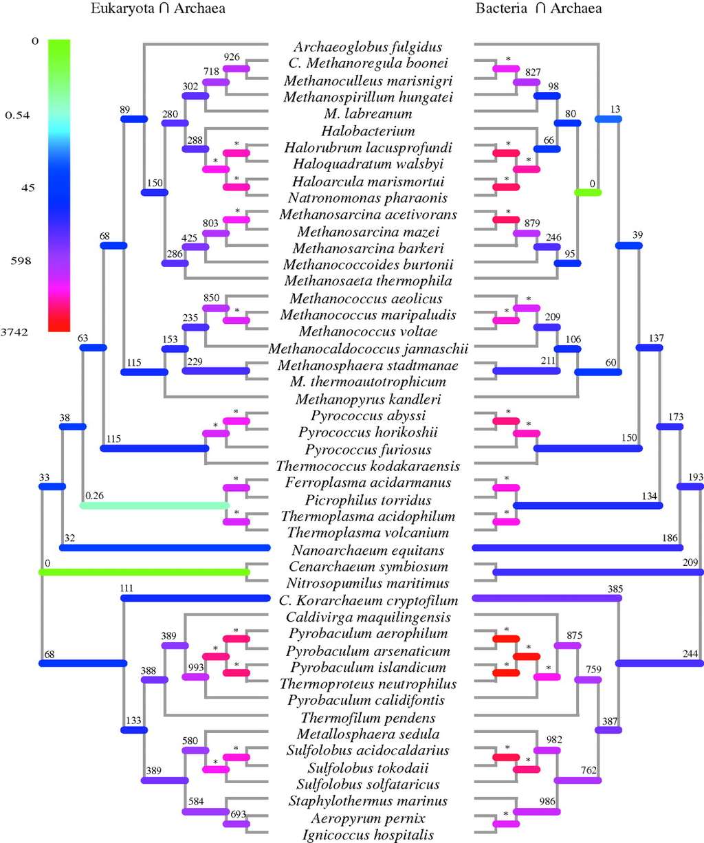 Des arbres phylogénétiques d'archées ont pu être construits par les chercheurs de l'université d'Oxford grâce aux bases de données de séquences d'ADN génomiques. © <em>Proceedings of the Royal Society B</em>