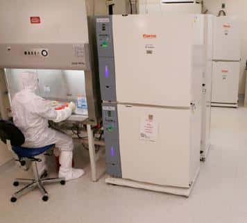 Les cellules souches GRNOPC1 sont cultivées dans un laboratoire spécialisé, dans des conditions stériles drastiques. © Geron corp.