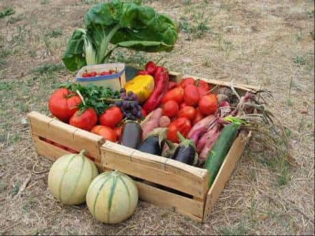 Un panier de fruits et légumes tout près de chez soi, pour consommer locavore ! © 20minutes.fr