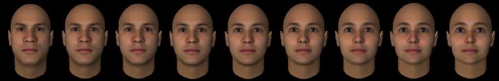 Le <em>morphing</em> est une transformation progressive d'une image en une autre, ici d'un visage d'homme (à gauche) en visage féminin (à droite). Le visage du milieu est androgyne, un juste milieu entre les deux extrêmes. © Afraz <em>et al.</em>, <em>Current biology</em>