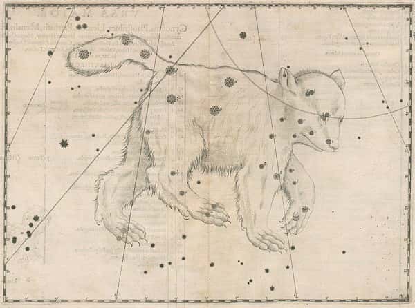 La constellation de la Grande Ourse représentée dans l'<em>Uranometria</em> de Johann Bayer. © DR