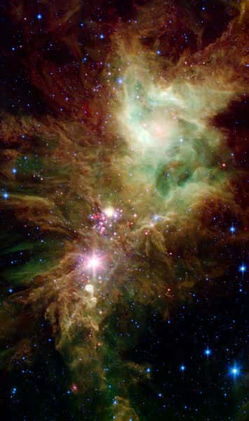 NGC 2264. © Nasa