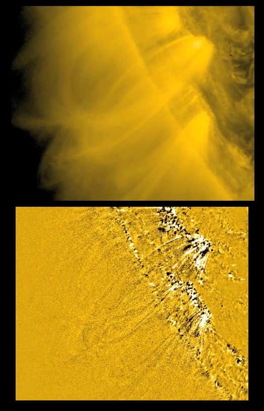 Les spicules vues par SDO. Elles pourraient servir à transporter le plasma solaire dans la couronne. © Nasa