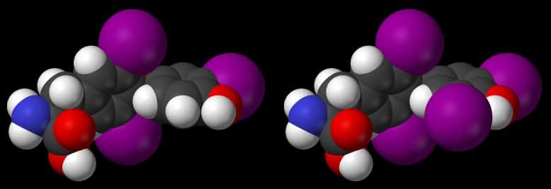 Les hormones thyroïdiennes (triiodothyronine et tétra-iodothyronine) contiennent respectivement trois et quatre atomes d'iode (en violet). © Domaine public